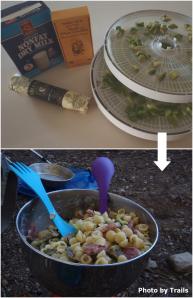 Ingredients to fancy mac and cheese