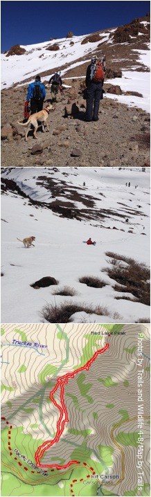 1. 2. 3. Click for larger map