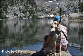 Enjoying the scenery at Dicks Lake with my pup.