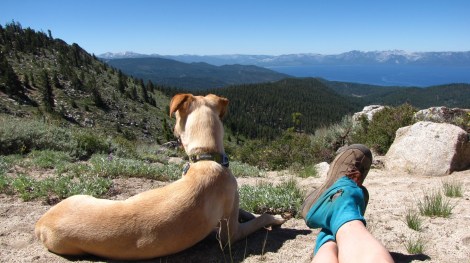 The view below Snow Valley Peak