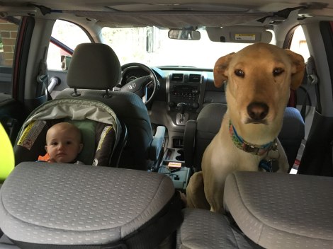 2016_bloopers_backseat