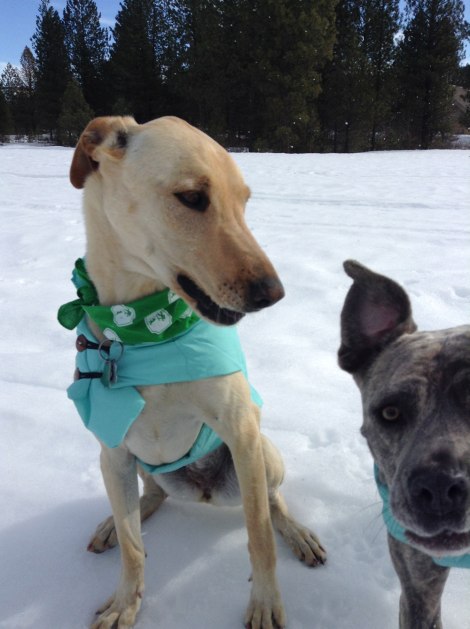 2016_bloopers_photobomb