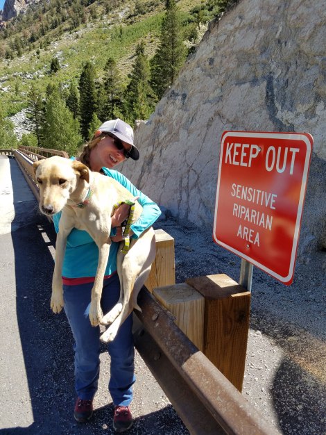 2016_bloopers_sensitiveriparian