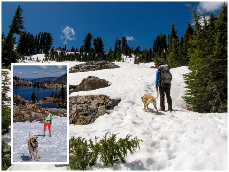 Climbing to Sawtooth Ridge