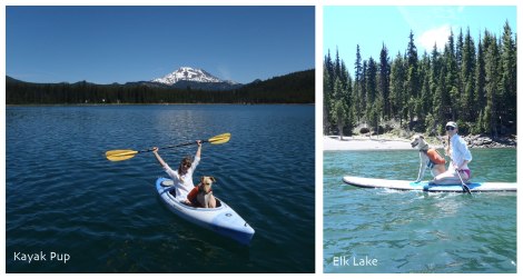 Kayak and SUP on Elk Lake