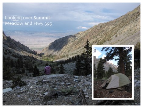 Looking over Summit Meadow
