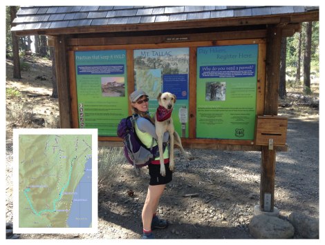Mount Tallac Trailhead and map