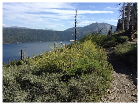 Ridge along Fallen Leaf Lake