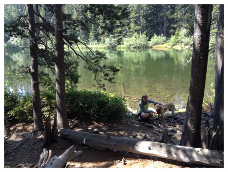 Floating Island Lake
