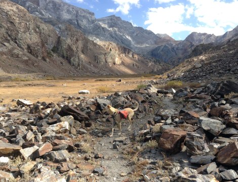 Hike back down to Mildred Lake.