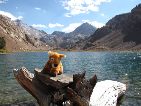 Harper Fawn at Mildred Lake