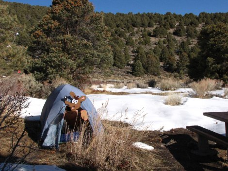 Sven at Great Basin National Park