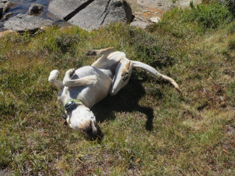 Enjoy the simple pleasures