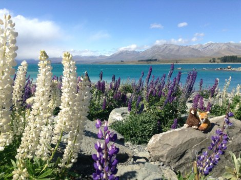 Lupin, Kiwi, and Harper Fawn at Lake Tekapo