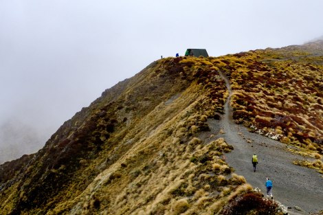 Hiking up to the Forest Burn hut - watch out for the Kea! Photo by Compass