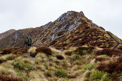 Get your trekking poles ready, the descent to Iris Burn Hut is taxing on the knees. Photo by Compass