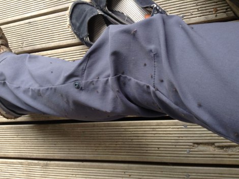 The sandflies at Iris Burn Hut...