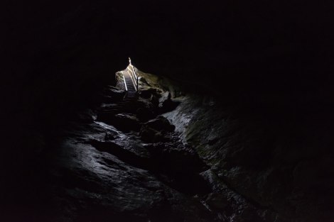 Looking out of the Luxmore Cave. Photo by Compass