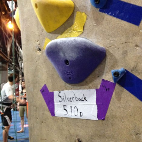 Silverback 5.10D
