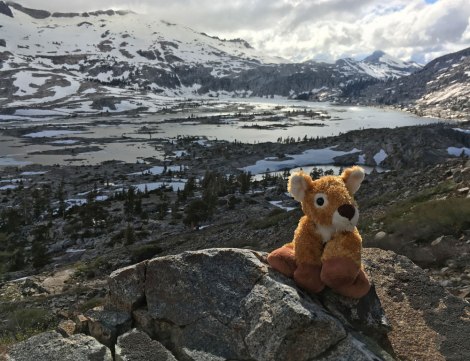 Lake Aloha and Harper Fawn