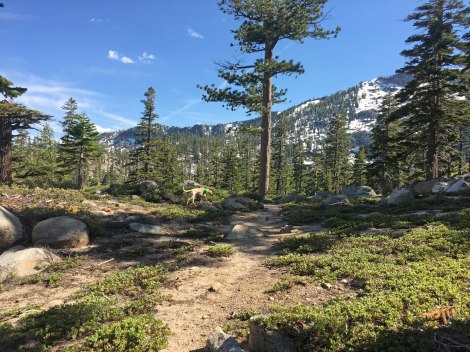 Trail to Angora Lakes