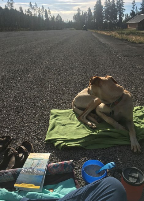 Wanoga Snow Play Area