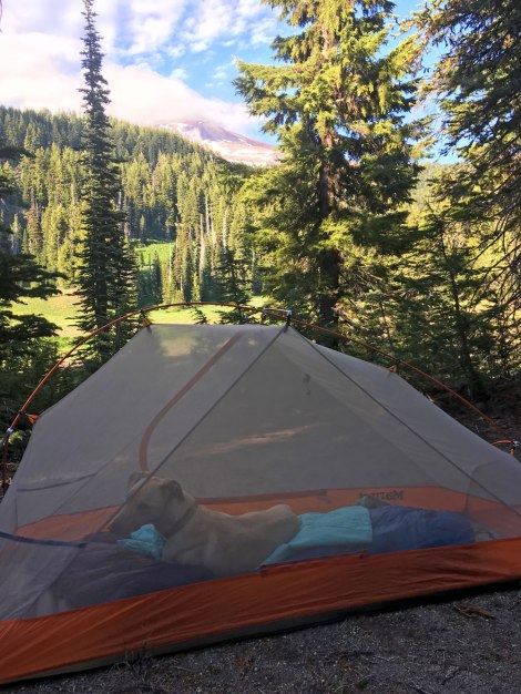 Campsite below South Sister