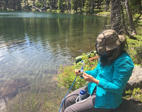 Filtering water and fighting off mosquitoes.