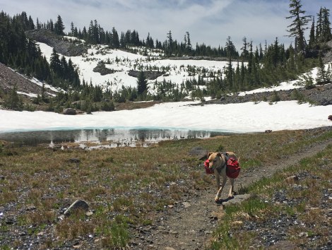 Obsidian Limited Entry Area